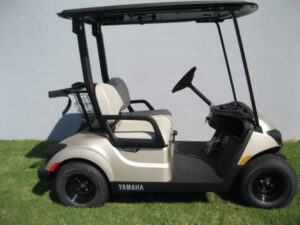 2025 YAMAHA DRIVE2 QUIET TECH PTV